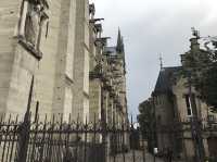 フランス🇫🇷 火災からの修復が行われているノートルダム大聖堂をご紹介