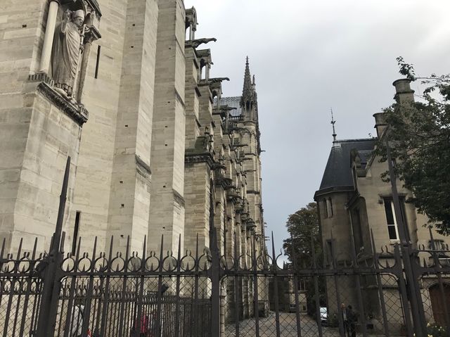 フランス🇫🇷 火災からの修復が行われているノートルダム大聖堂をご紹介
