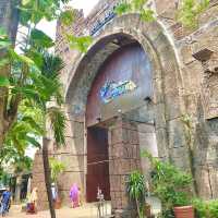 Sea Lions at Ocean Dream Samudra