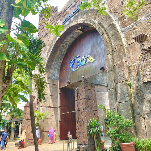 Sea Lions at Ocean Dream Samudra