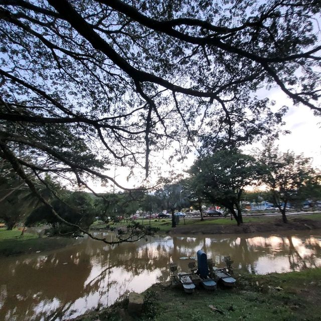 EVENING CHILLING AT PARK 