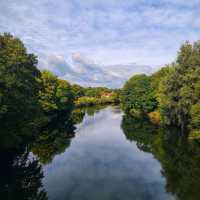 Fall in Cardiff