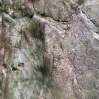 Kings cave and dinosaur print hike 