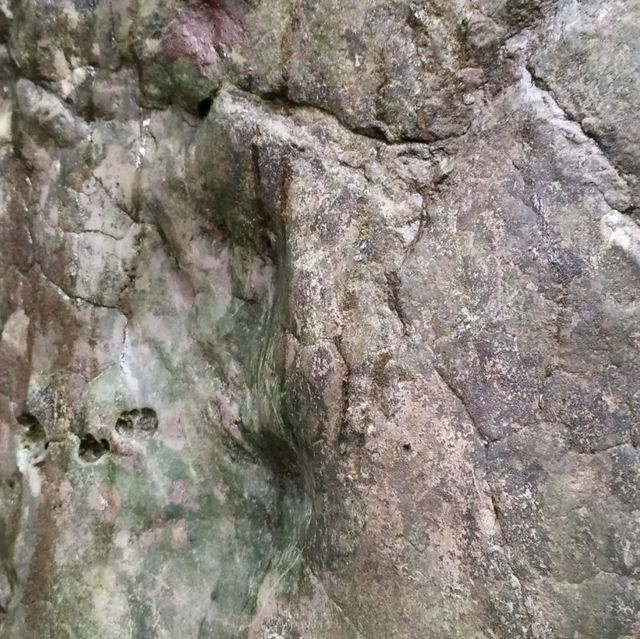 Kings cave and dinosaur print hike 