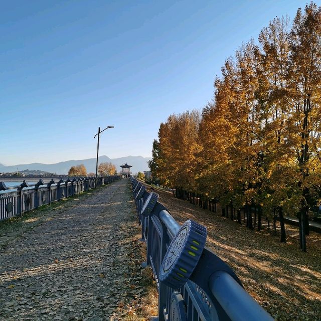 Qingxi Reservoir| Tranquility