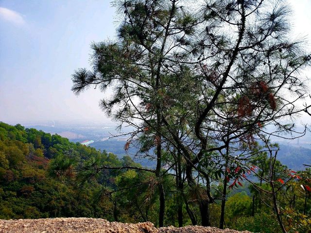 Yunti Mountain ⛰ | Stairway to Paradise!