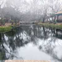 A relaxed version of Lijiang