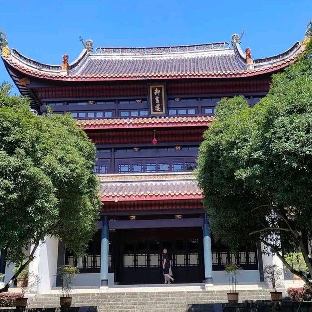 美的力量丨中国美术学院