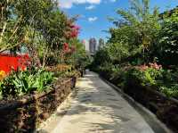 The beautiful colorful flowers of Xiputuo