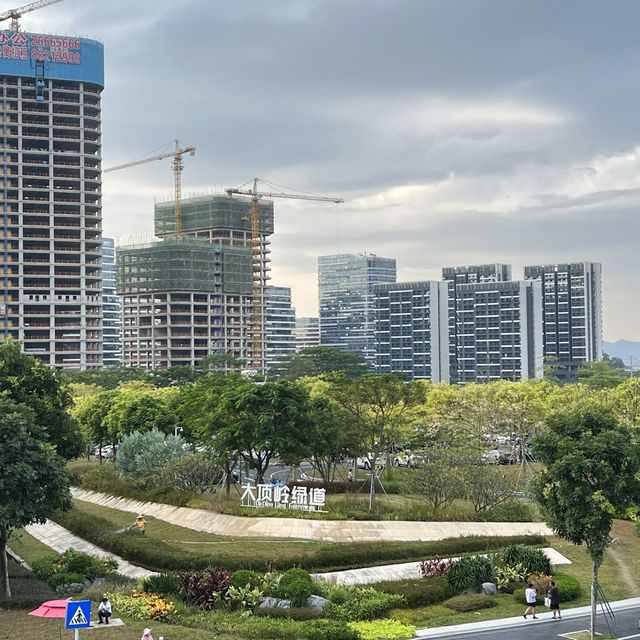 打卡深圳大頂嶺綠道