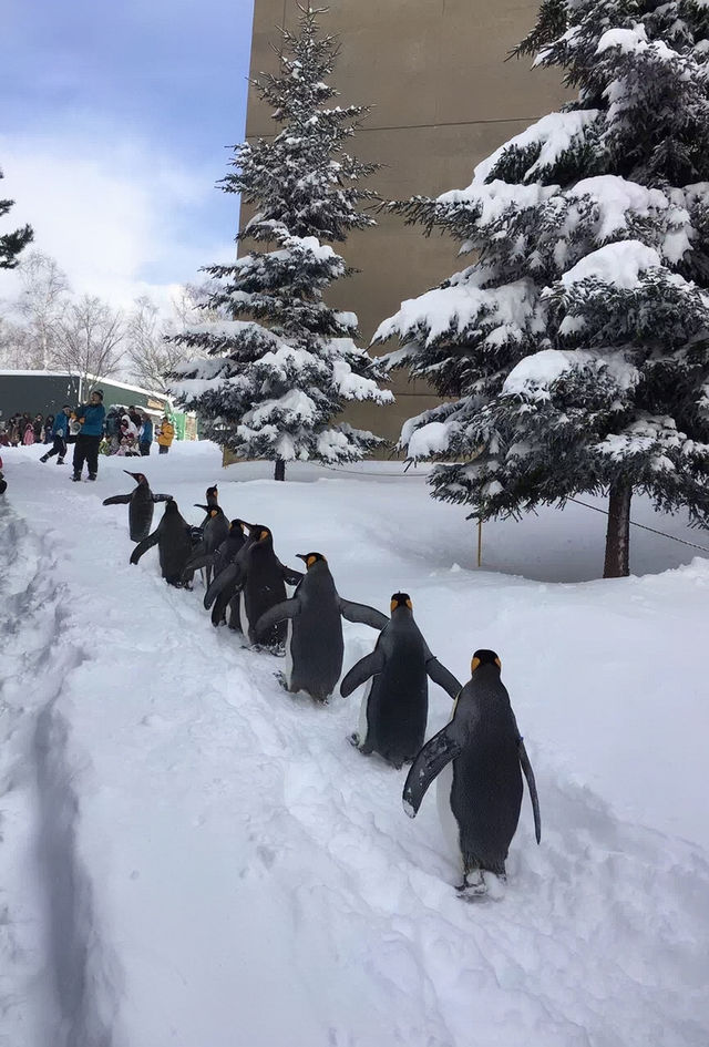 Xushan Zoo