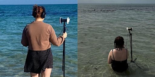 Anthony's Nose | Deakin University Melbourne Burwood Campus, Phoenix Theatre