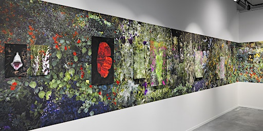 Plant Effect on Humans || ARTSCIENCE Dialogue III | VU Art Science Gallery, De Boelelaan, Amsterdam, Netherlands