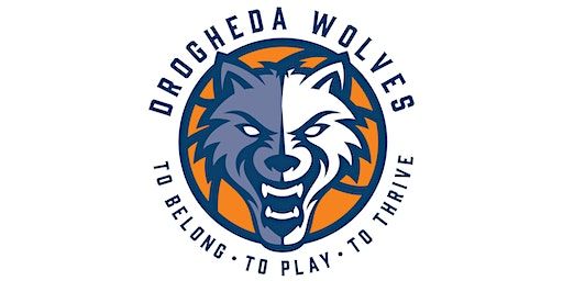 Wolves Easter Basketball Camp | Ballymakenny College