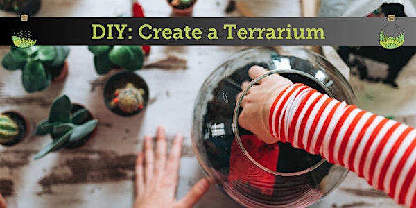 Create A Terrarium DIY | Pine Lane Nursery