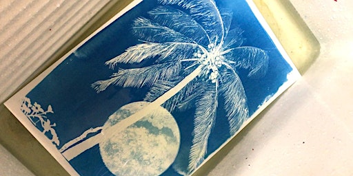 Cursus Cyanotype | Broedplaats Baggerbeest