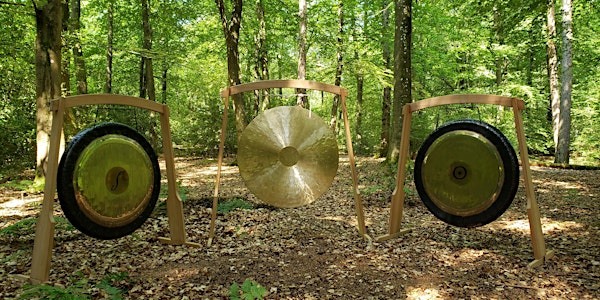 Sound in Nature: Outdoor Forest Sound Journey at Alice Holt. | Alice Holt Visitor Centre
