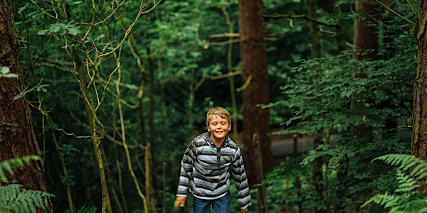 Home Education Connection | Potteric Carr nature reserve