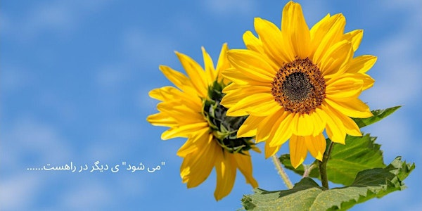 می شود" ی دیگر" | 1186 Marine Dr