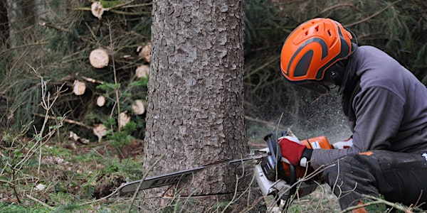 Emergency First Aid 1 day course including Forestry First Aid +F (RQF) | Alyn Waters Conference Room
