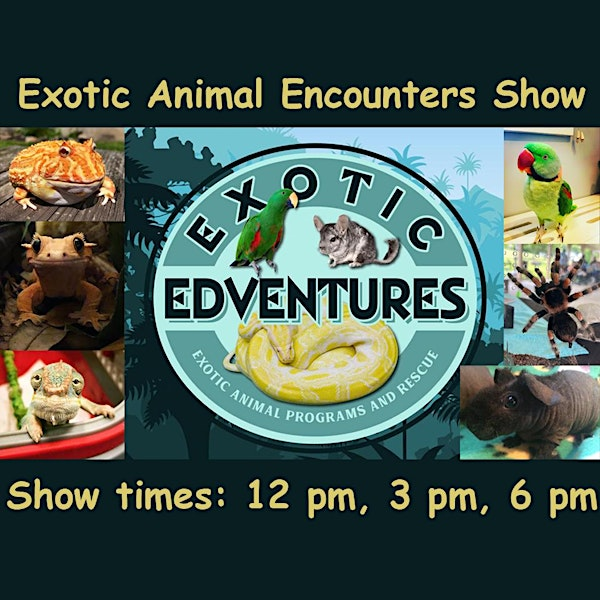 Exotic Animal Encounters Live Interactive Shows | Altoona Curve Baseball