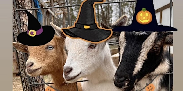 Goat Yoga Nashville- Halloween Spooktacular | Goat Yoga Nashville