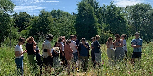 Habitat creation, creative maintenance and ecology at Hilldrop | The Grass Roof Co