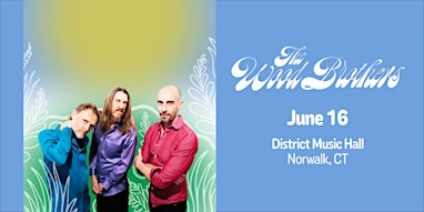 The Wood Brothers | District Music Hall