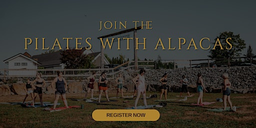 Manners Cider Presents: Pilates with Alplcas | Manners Cider