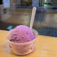 [서울] 더 와요 🍨, 회기동 최고의 아이스크림 맛집
