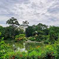 kingfisher Wetlands at Garden By The Bay