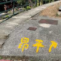 昂平草原行山郊游日