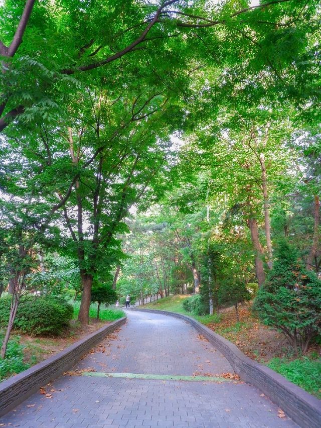 부평 신트리공원, 여유로운 산책길 부평 신트리공원, 여유로운 산책길