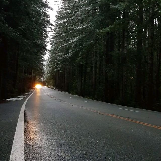 Leggett Road Trip