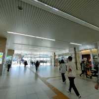 【兵庫県 明石市】季節の花咲く明石駅🌸🌸🌸