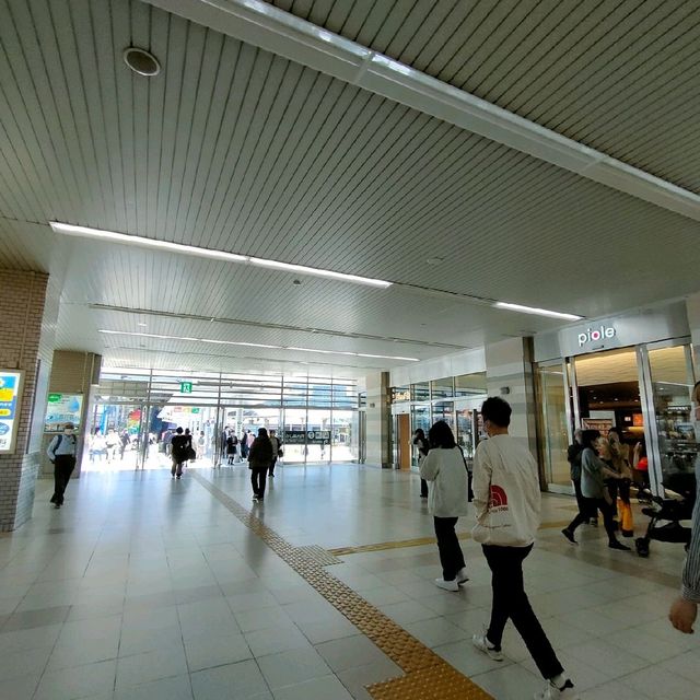 【兵庫県 明石市】季節の花咲く明石駅🌸🌸🌸