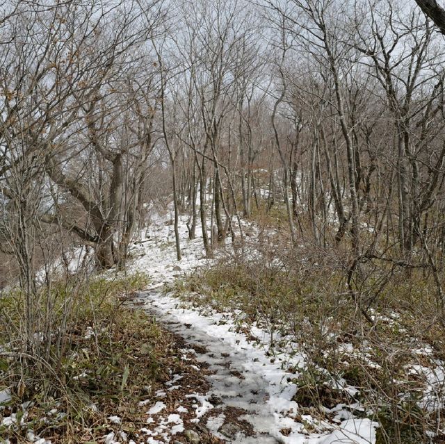 강원도 백덕산 등산