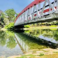 超大綠地公園🟢設計壯觀場面📍高雄中央公園站