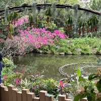 荃灣城門谷公園