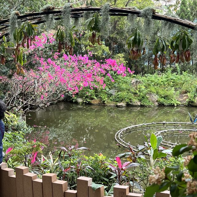荃灣城門谷公園