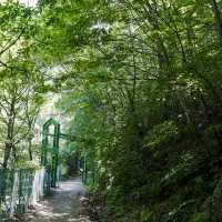민주지산 등산