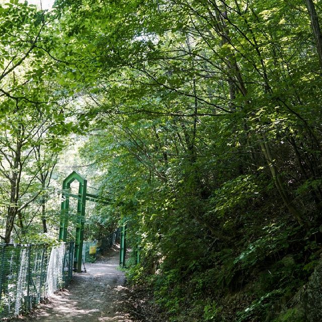 민주지산 등산