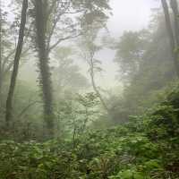 福井県の青葉山に行ってきた！