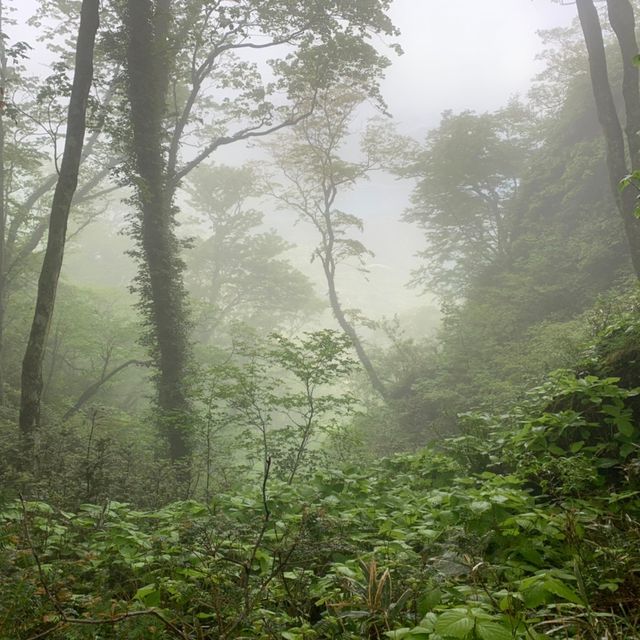 福井県の青葉山に行ってきた！