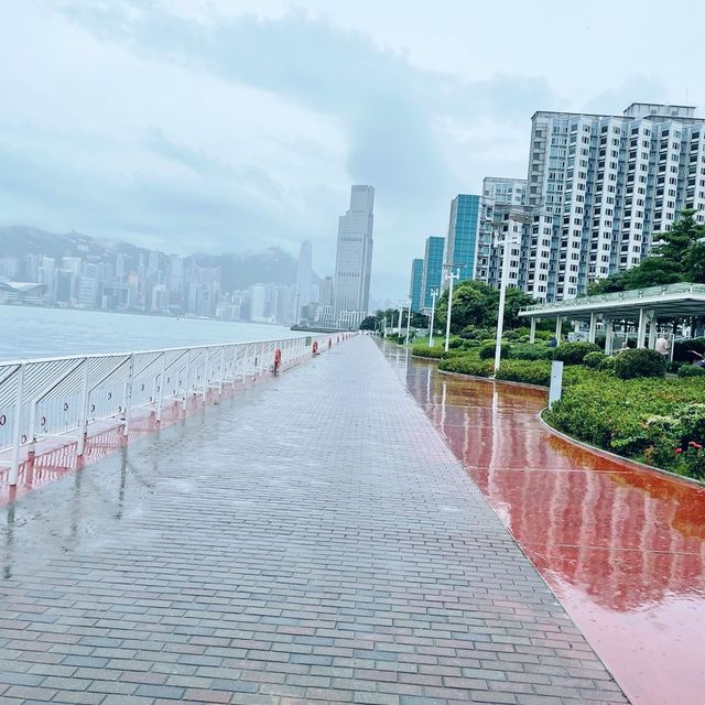 望住維港散步嘅好地方～