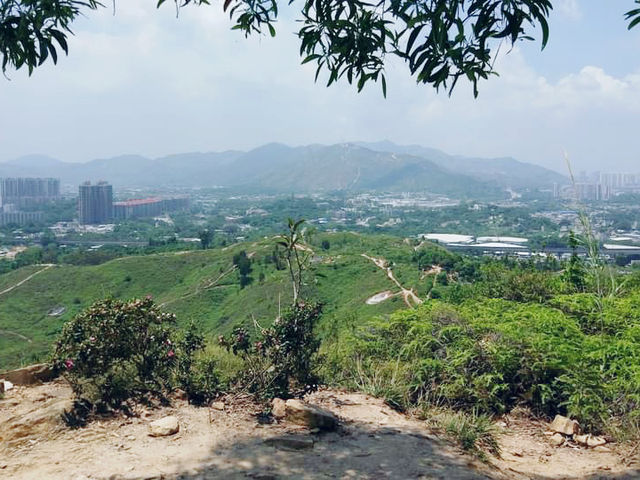 髻山