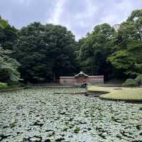 【東京】日本三名園の1つ！小石川後楽園