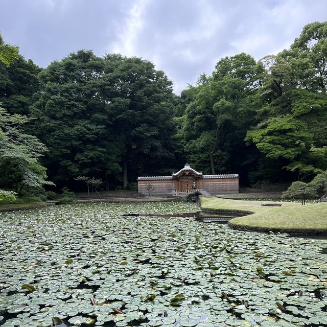 【東京】日本三名園の1つ！小石川後楽園