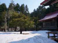 浪漫雪景下的網走神社⛩️⛩️｜北海道