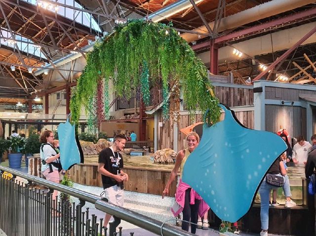 St. Louis Aquarium - Children Waterplay Zone